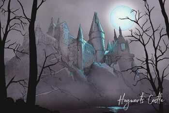 Plagát Harry Potter - Nocturnal Hogwarts Castlle