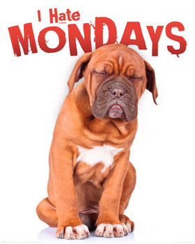 Plagát I hate mondays