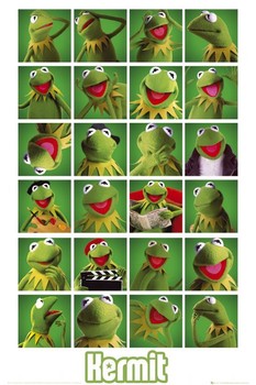 Plagát MUPPETS - kermit collage