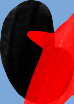 Plagát night bird,2017,