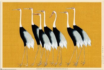Plagát Ogata Korin - Flock of Beatiful Japanese Red Crown Crane