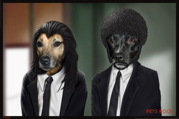 Plagát Pets rock - hitdogs