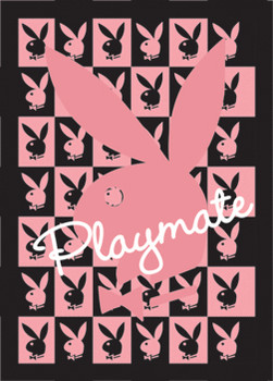 3D Plagát PLAYMATE
