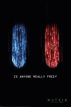 Plagát The Matrix: Resurrections - The Choice is Yours