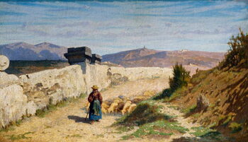Plagát The Pecoraia