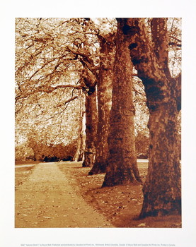 Kunsttryk Autumn Stroll I