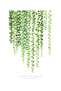 Plakat Blursbyai - Watercolour string of pearls