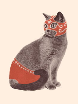 Plakat Cat Wrestler
