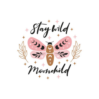 Plakat Celestial butterfly vector illustration.