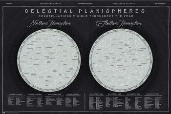 Plakat Celestial Planispheres