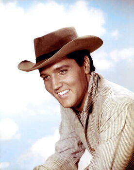 Plakat Elvis Presley