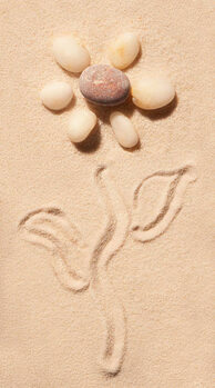 Plakat Flower of sea stones drawn on