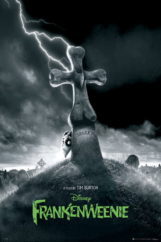 Plakat FRANKENWEENIE - teaser