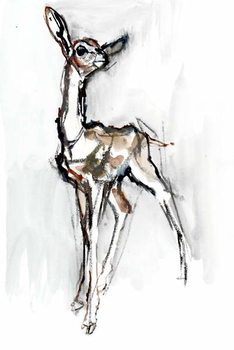 Plakat Gerenuk fawn, Sarara, 2018,