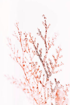 Plakat Gold Close-Up Brunch Christmas ornament- Regional