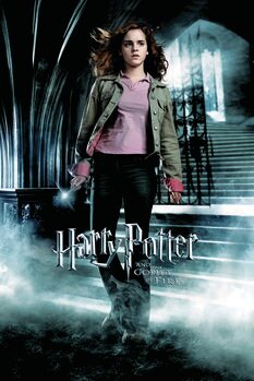Plakat Harry Potter and the Goblet of Fire - Hermione