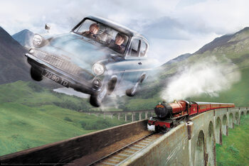 Plakat Harry Potter - Ford