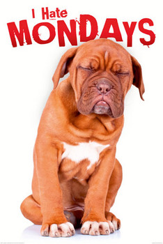 Plakat I hate mondays