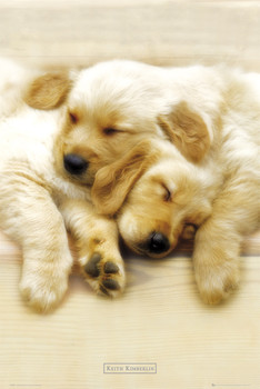 Plakat Keith Kimberlin - snooze