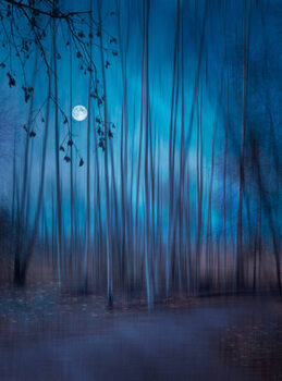 Plakat Low angle view of illuminated lights at night