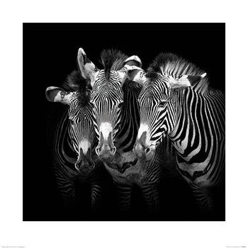 Kunsttryk Marina Cano - Shades of Grevy