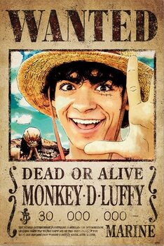 Plakat One Piece - Wanted Monkey D. Luffy