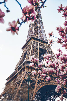 XXL plakat Paris - Eiffel Tower