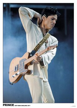 Plakat Prince