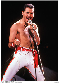 Plakat Queen (Freddie Mercury) - Los Angeles 1982