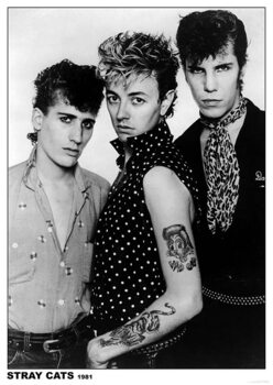 Plakat Stray Cats - Group