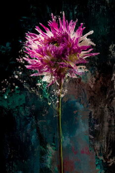 Plakat Sugarplum, 2018