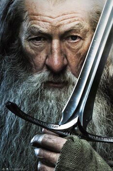 Plakat The Lord of the Rings - Gandalf and Glamdring