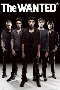 Plakat the Wanted - twilight