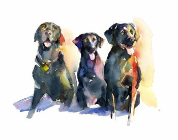 Plakat Three Black Labs, 2015,