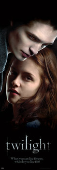 Plakat TWILIGHT - ed and bella