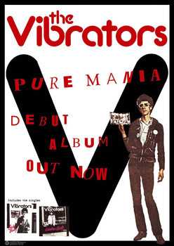 Plakat Vibrators - Pure Mania