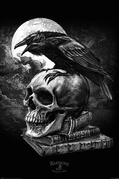 Alchemy - Poe's Raven Poster