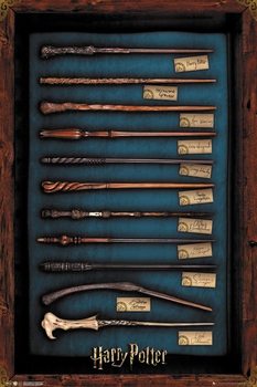 Poster Harry Potter - Wands