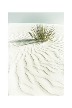 Poster Melanie Viola - White sands