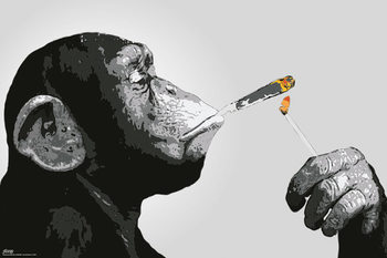 Poster Steez - Opice Smoking
