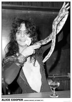 Plakát Alice Cooper