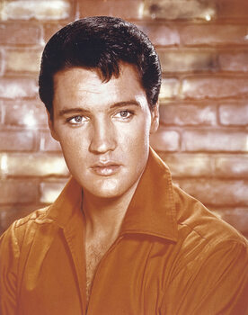 Plakát Elvis Presley