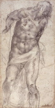 Vászonkép Figure Study