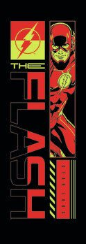 Plakát Flash - Star Labs