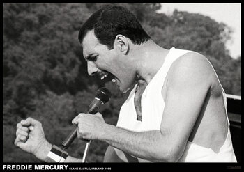 Plakát Freddie Mercury - Slane castle, Ireland 1996