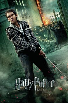 Plakát Harry Potter - Neville Longbottom