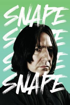 Plakát Harry Potter - Severus Snape