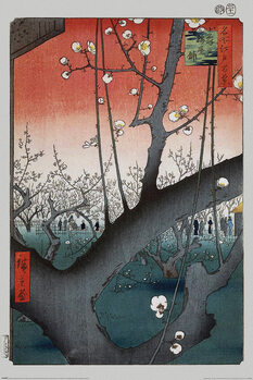 Plakát Hiroshige - Plum Orchard near Kameido Shrine