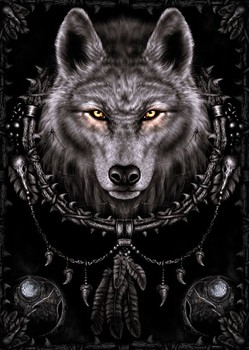 Plakát Spiral - wolf dreams