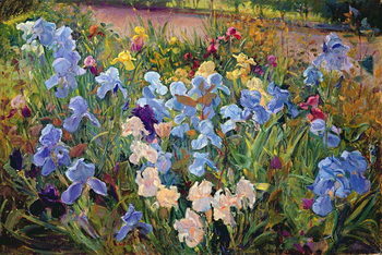 Vászonkép The Iris Bed, 1993
